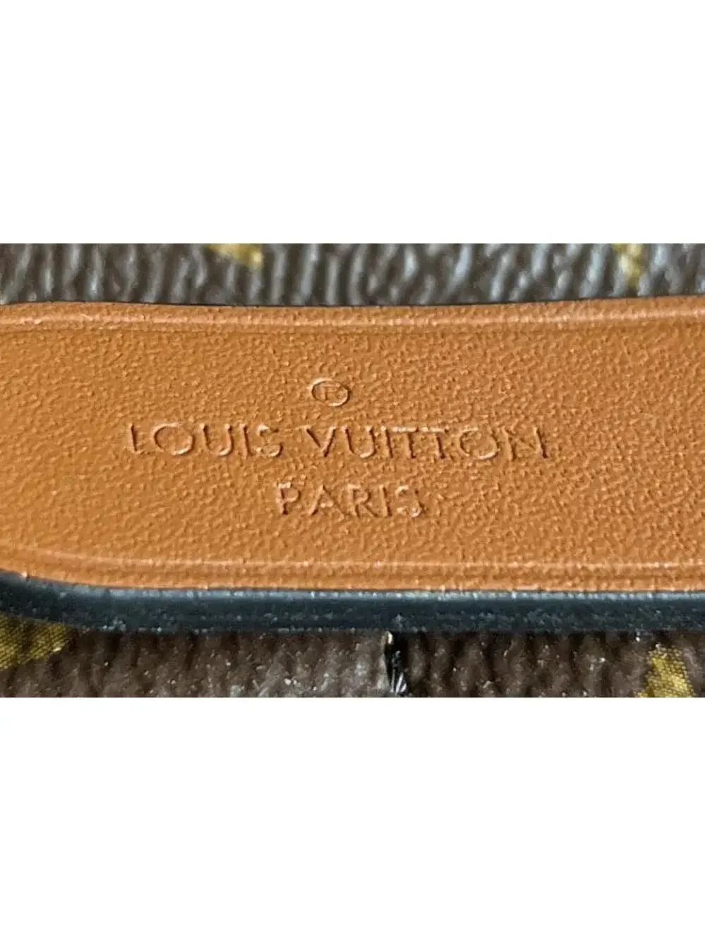 Louis Vuitton Neonoe Handbag Canvas #236949L22B